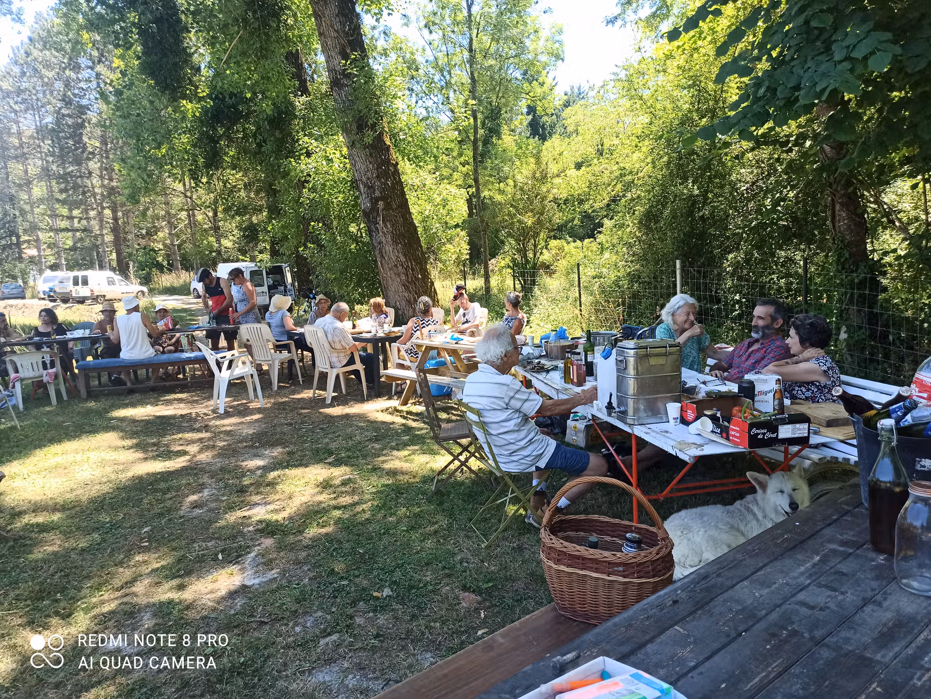 Juin 2025 - Première récolte 4